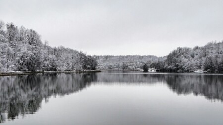 Природа Смоленщины 