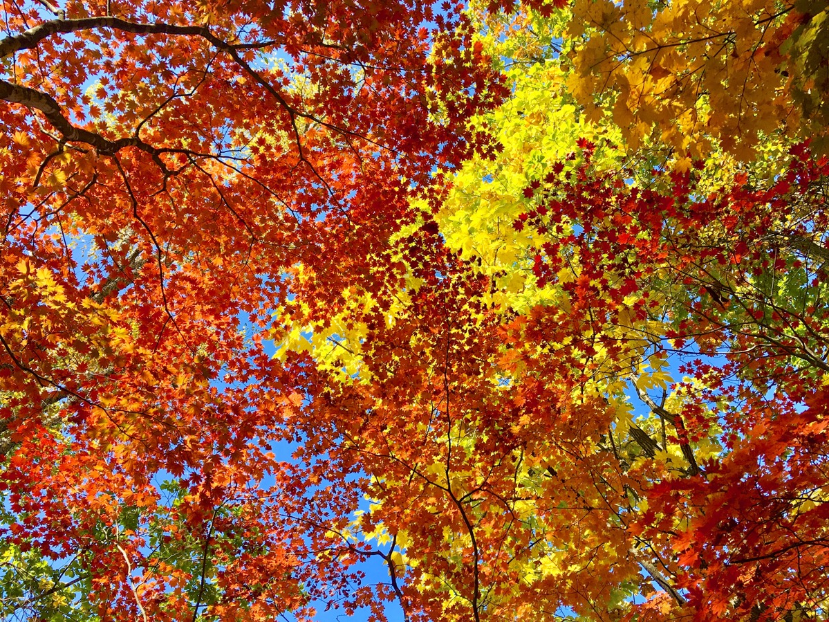 Цветное небо