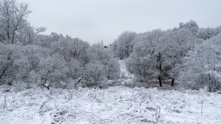 Природа Смоленщины 