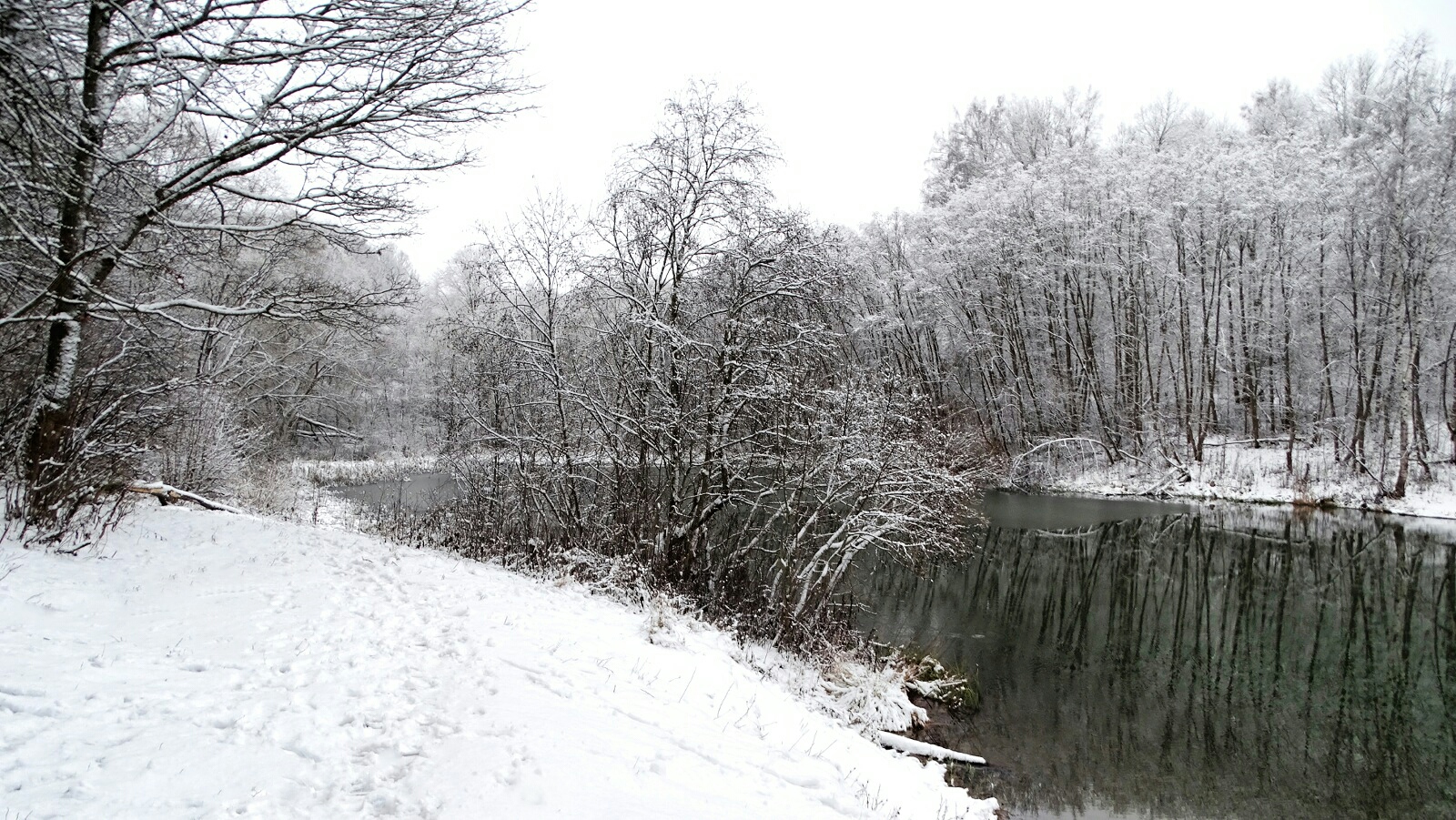 Природа Смоленщины 