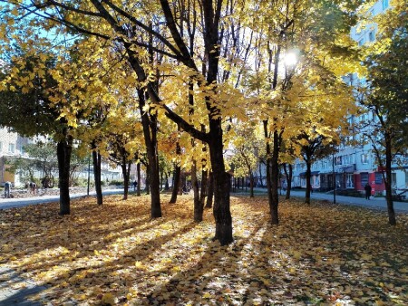 Осень в городе