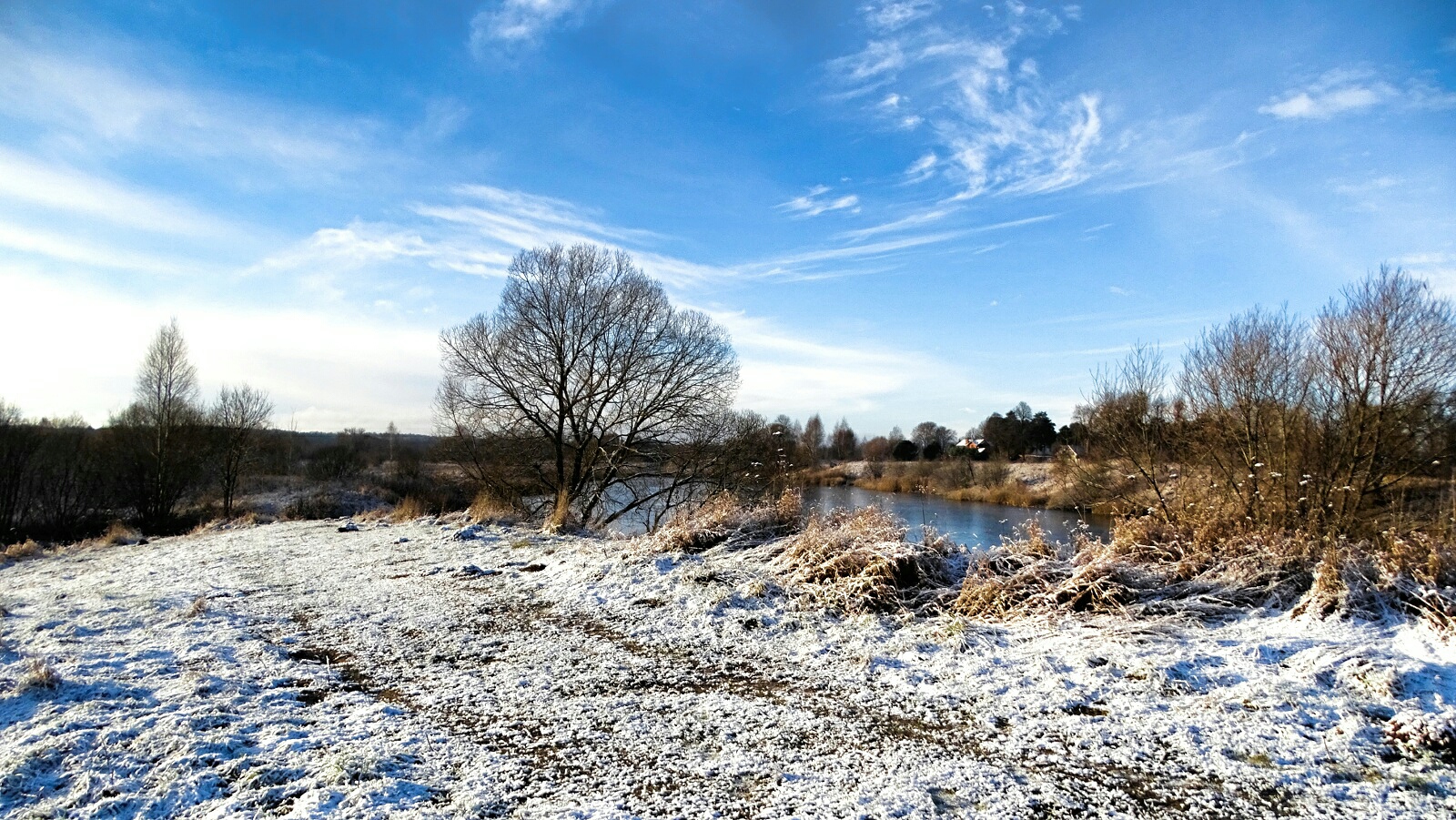 Природа Смоленщины 