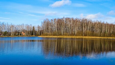 Природа Смоленщины 