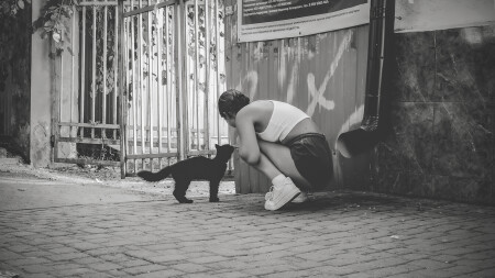 Жил да был чёрный кот за углом...