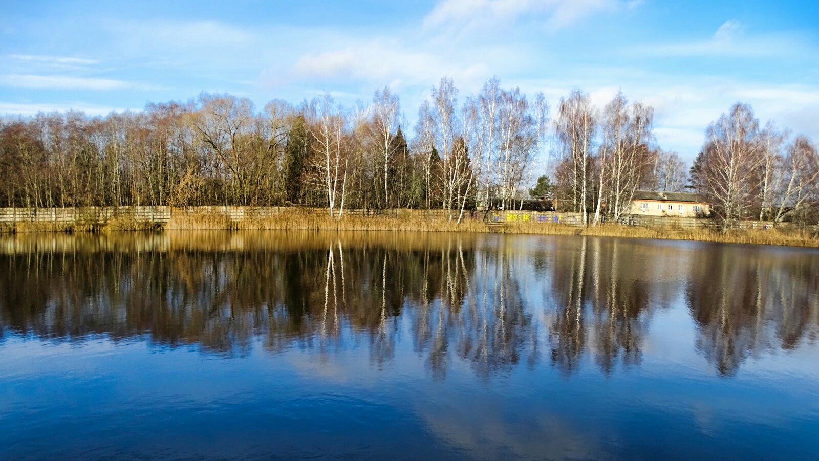 Природа Смоленщины 