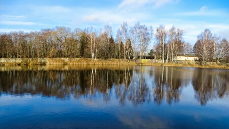 Природа Смоленщины 