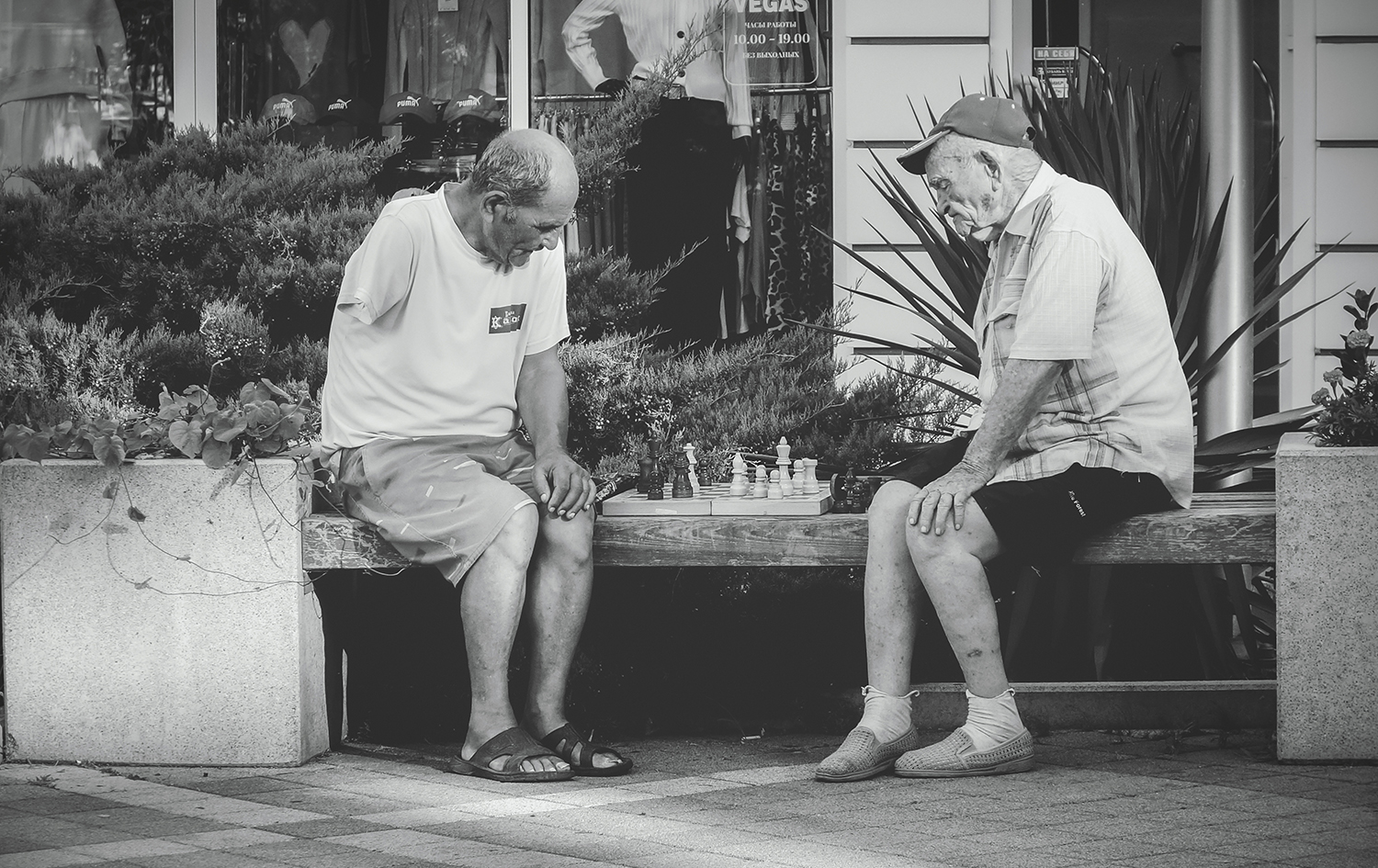 Шахматная партия 