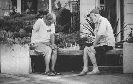 Шахматная партия 