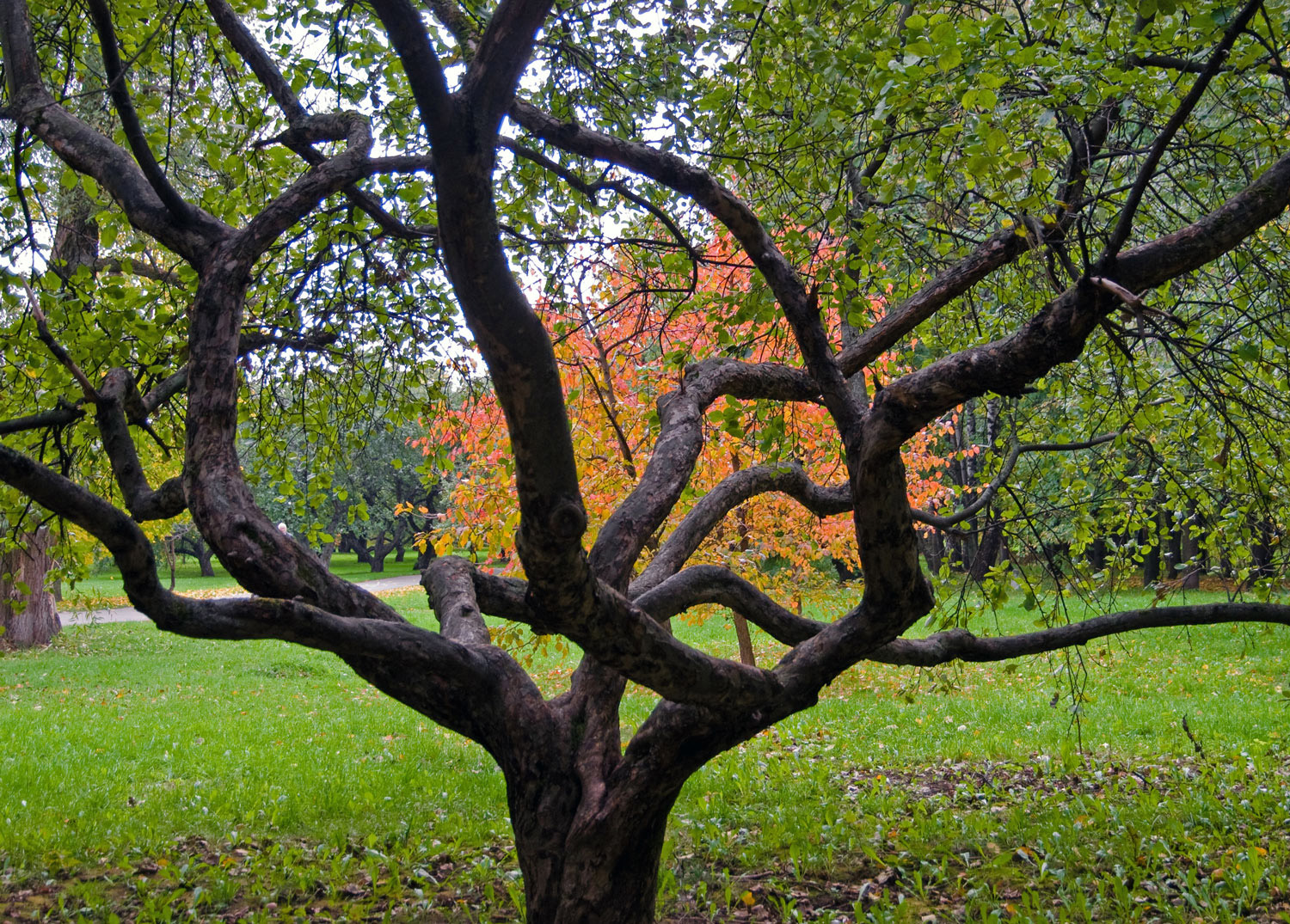 Дороги жизни