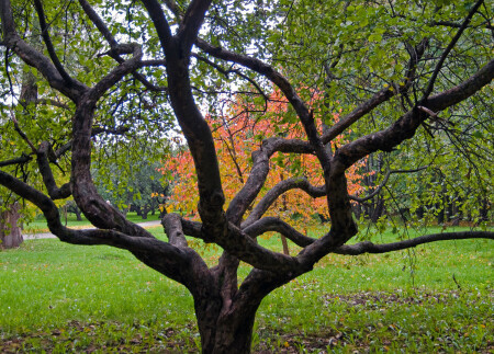 Дороги жизни