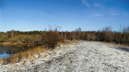 Природа Смоленщины 