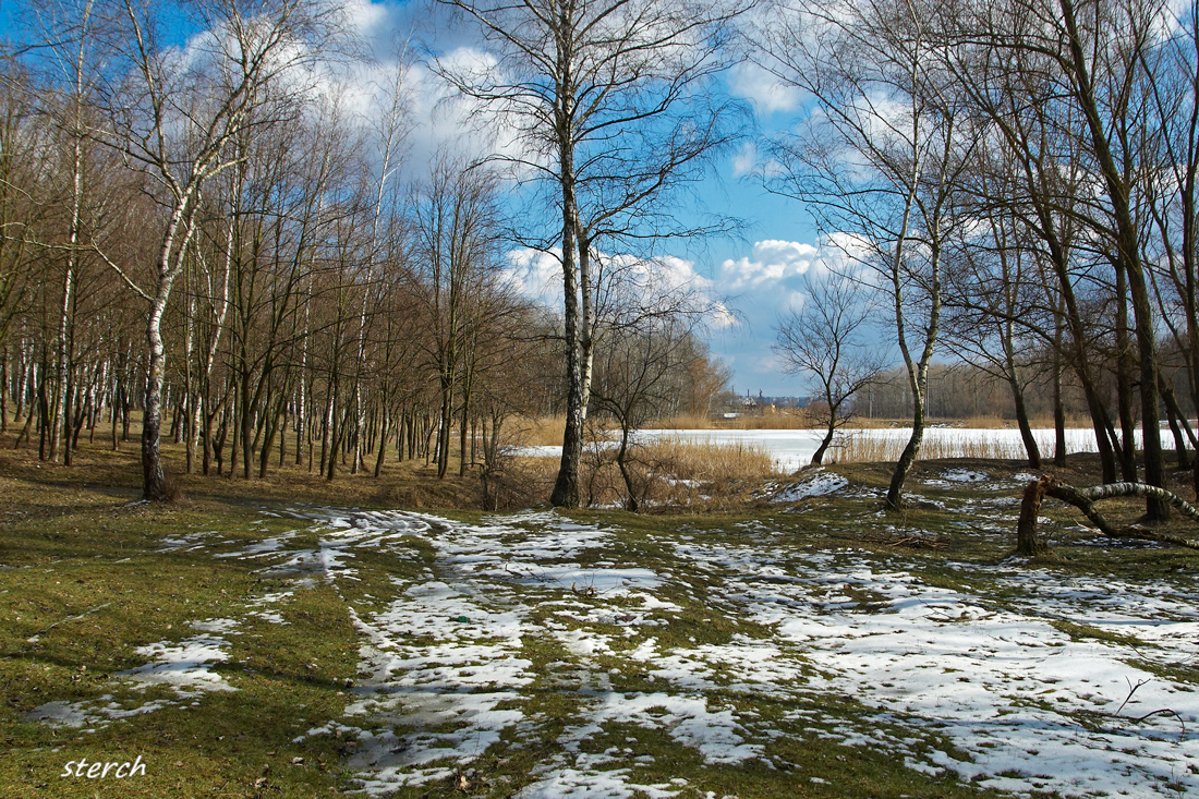 Гусиная балка.
