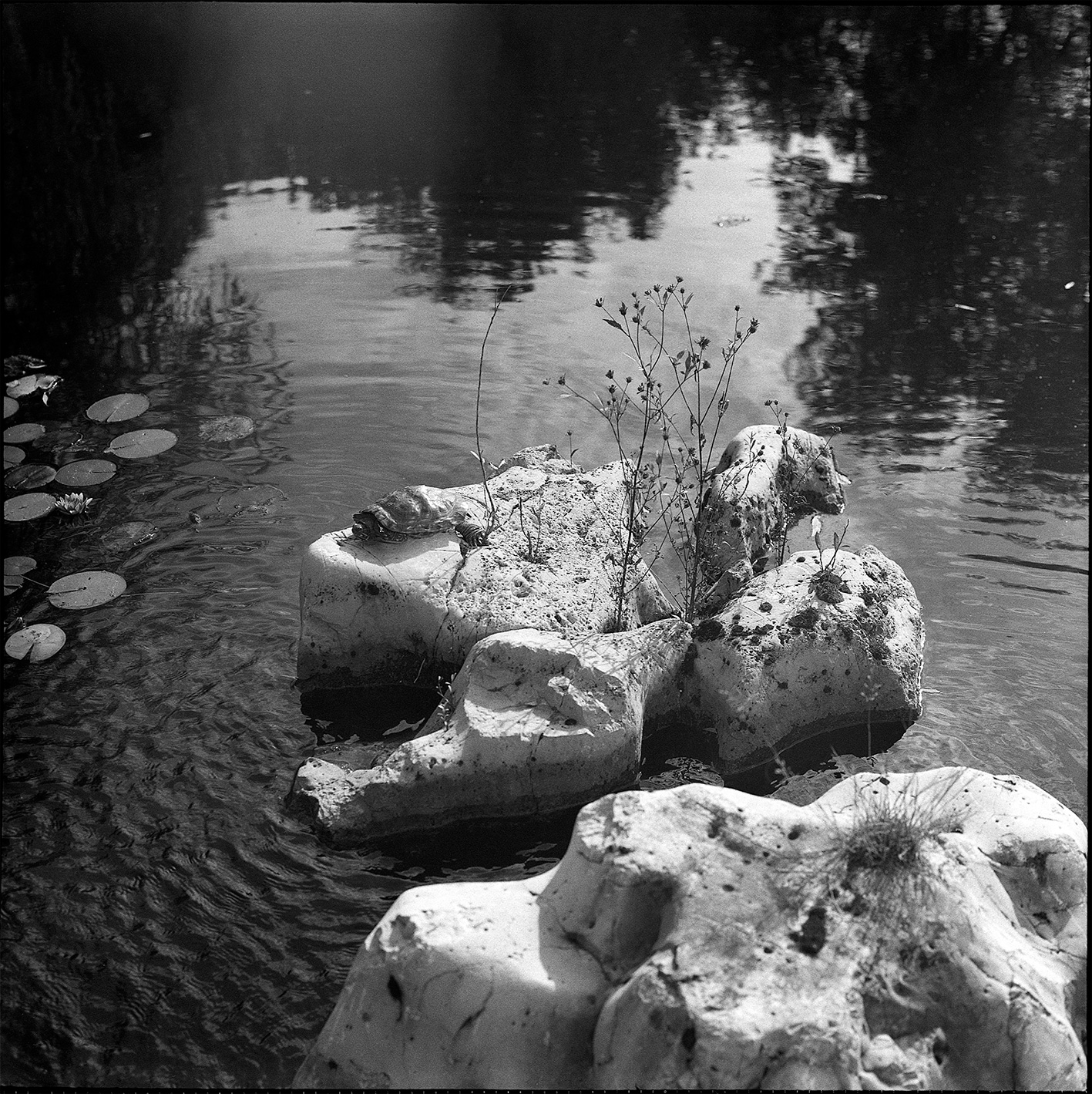 В китайском парке Хуамин (2025)