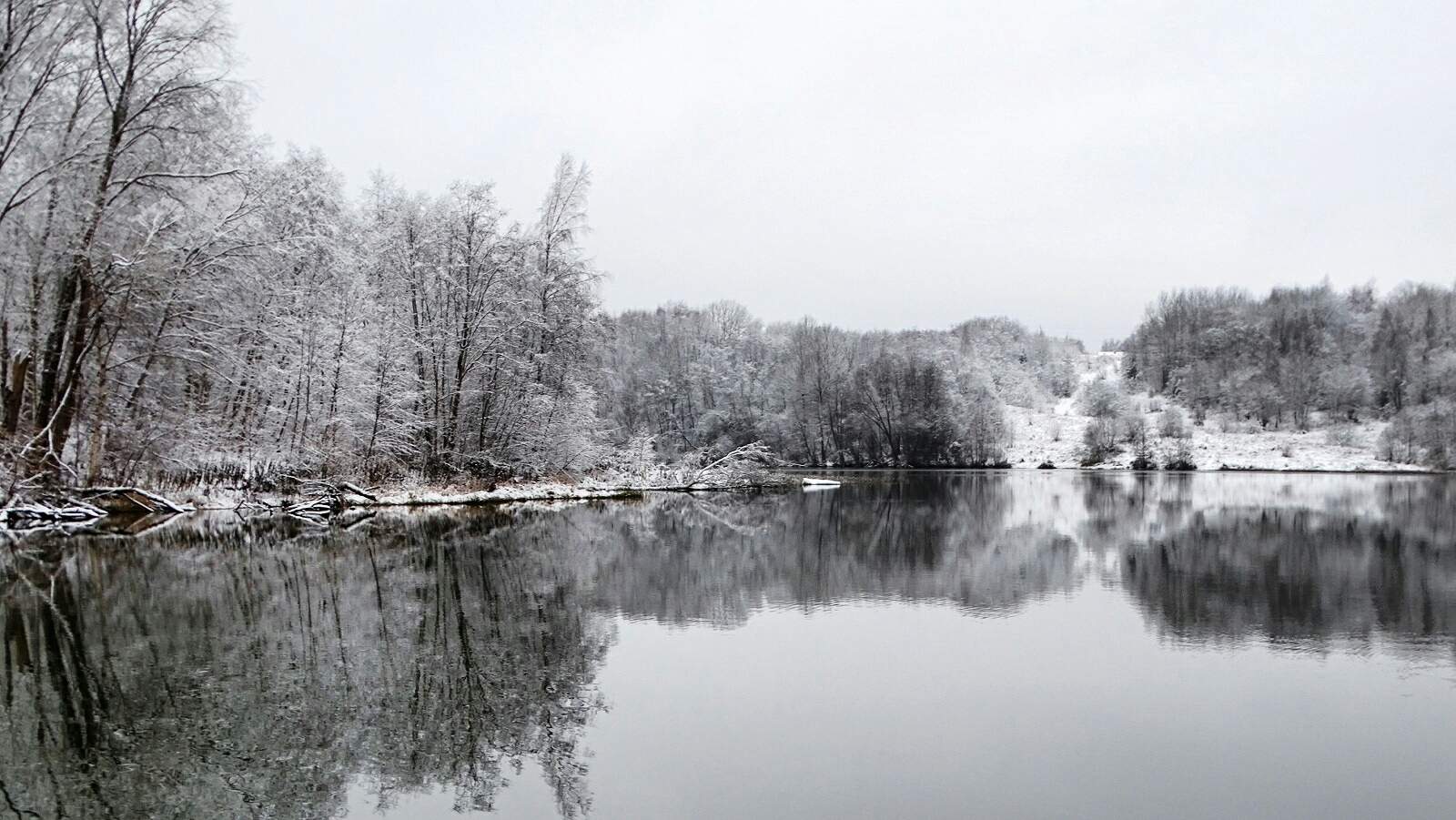 Природа Смоленщины 