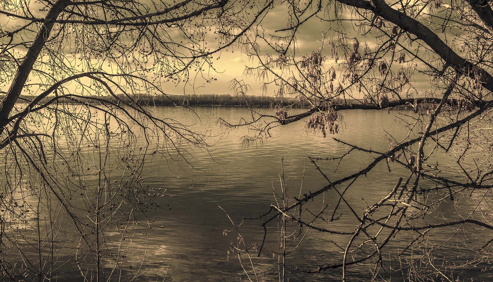 Волга сквозь осеннюю листву...