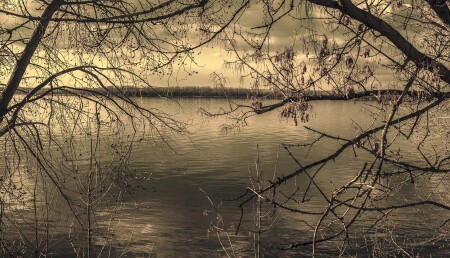 Волга сквозь осеннюю листву...