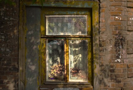 Окно с тюлем и цветами в старом доме...