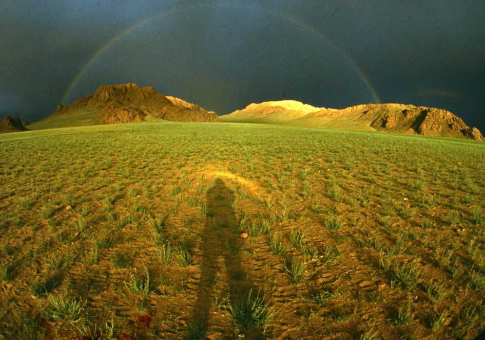 После дождя...