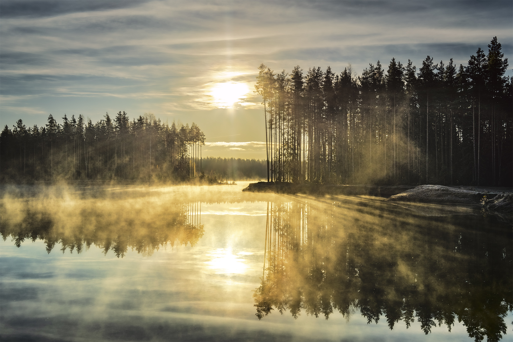 Всё то же утро. 