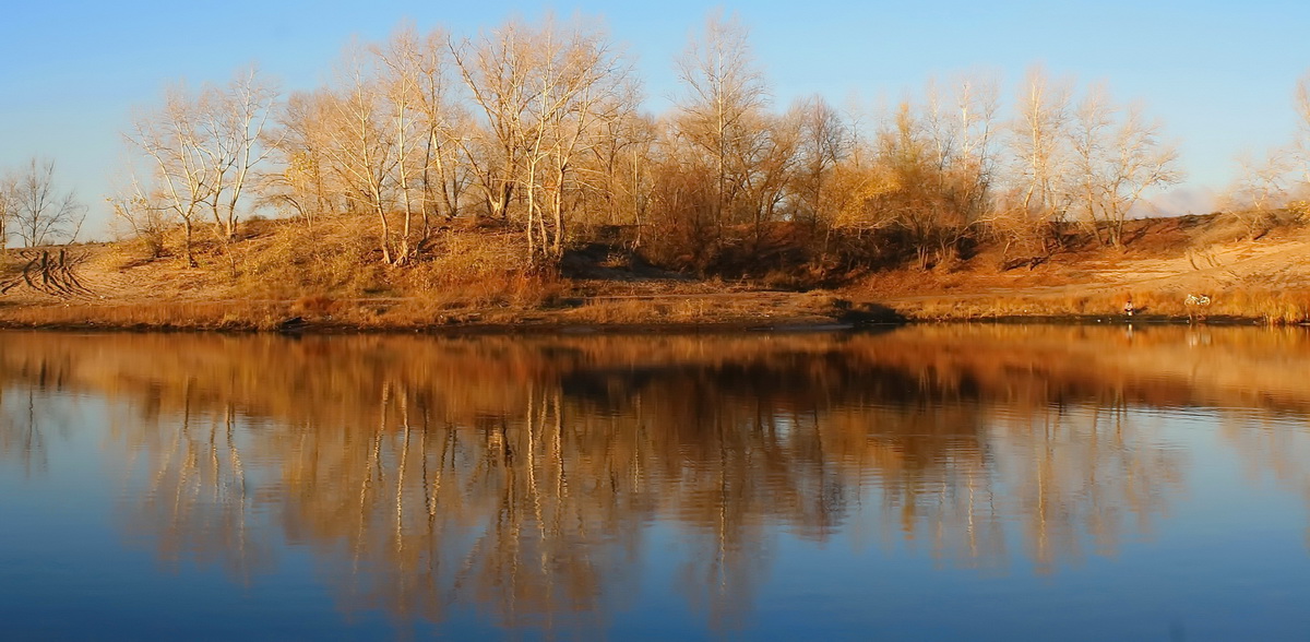 Ноябрьское утро