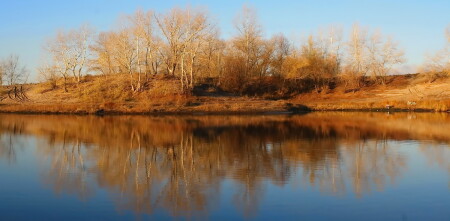 Ноябрьское утро