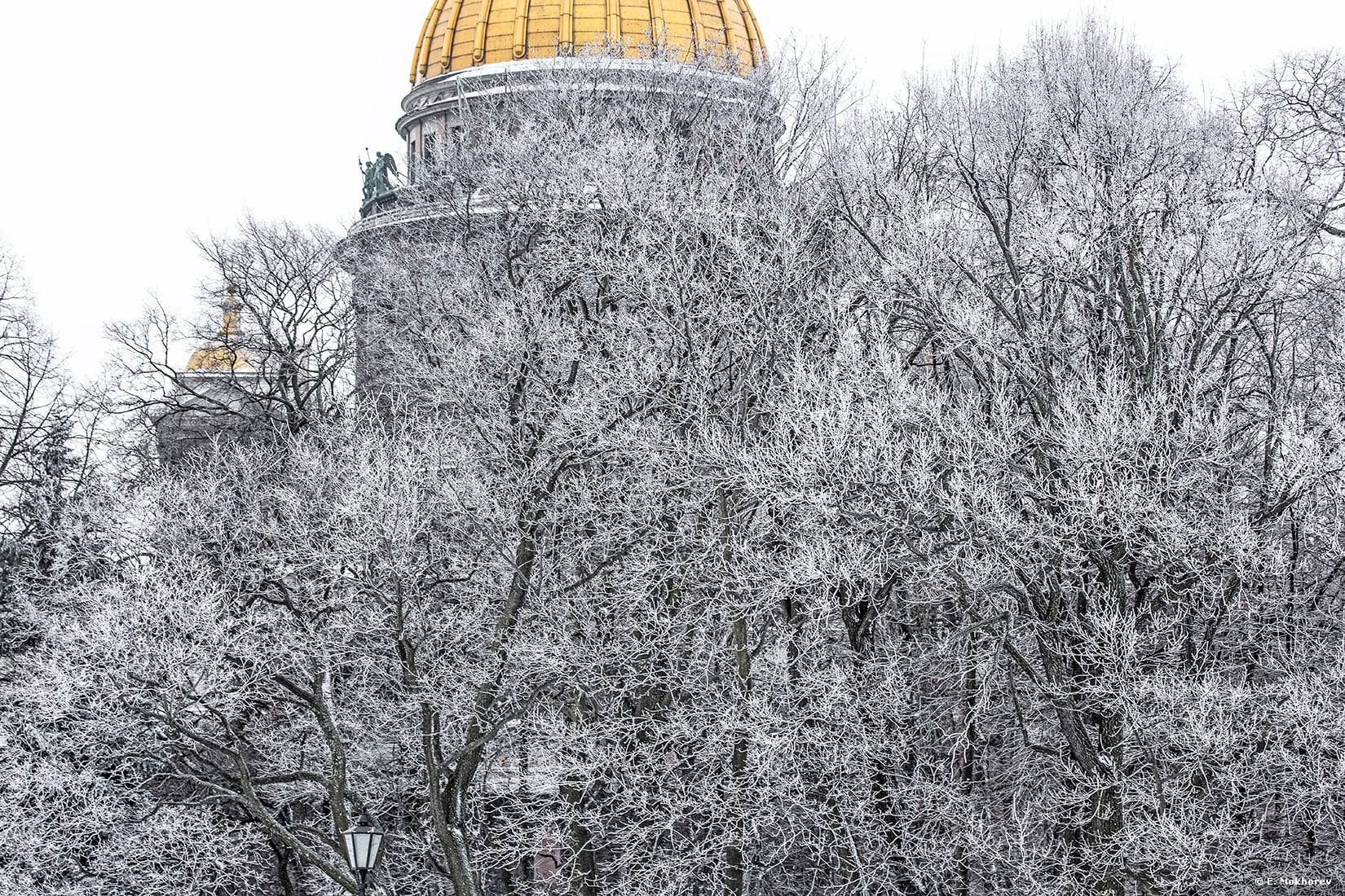 Исаакиевский собор, 2012 г.