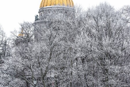 Исаакиевский собор, 2012 г.