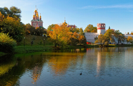 На Новодевичьих прудах...