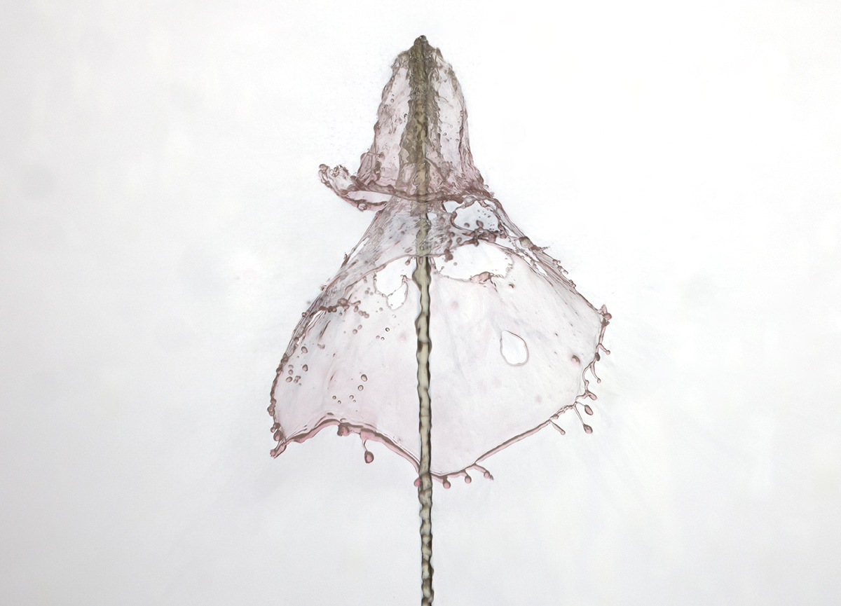 Фигура из жидкости.