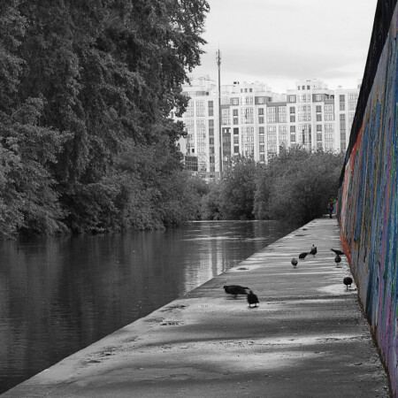 Разукрасим этот мир