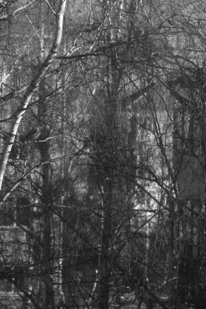 Очертания города