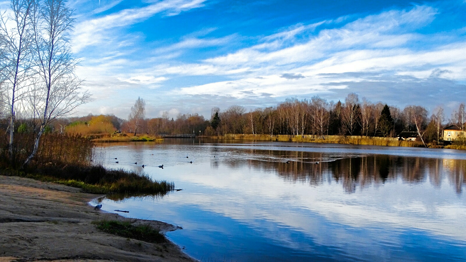 Природа Смоленщины 