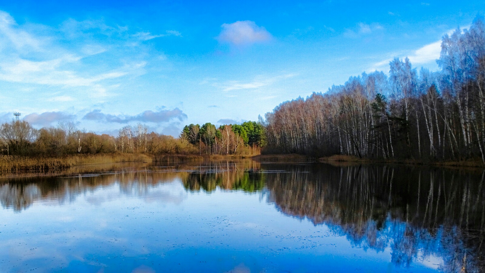 Природа Смоленщины 