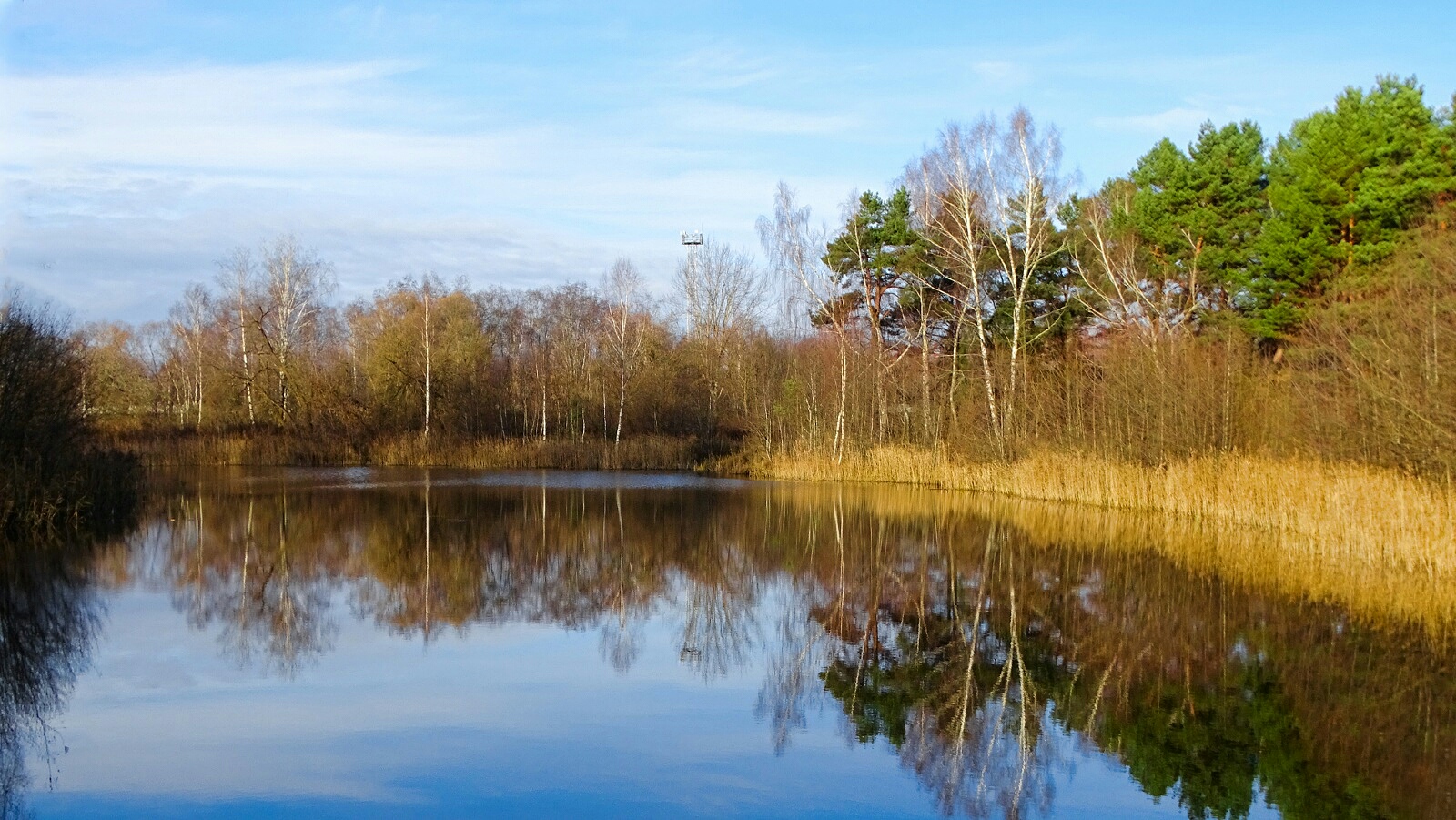 Природа Смоленщины 