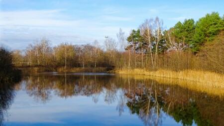 Природа Смоленщины 