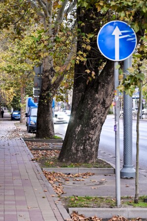 Цвет настроения - синий...