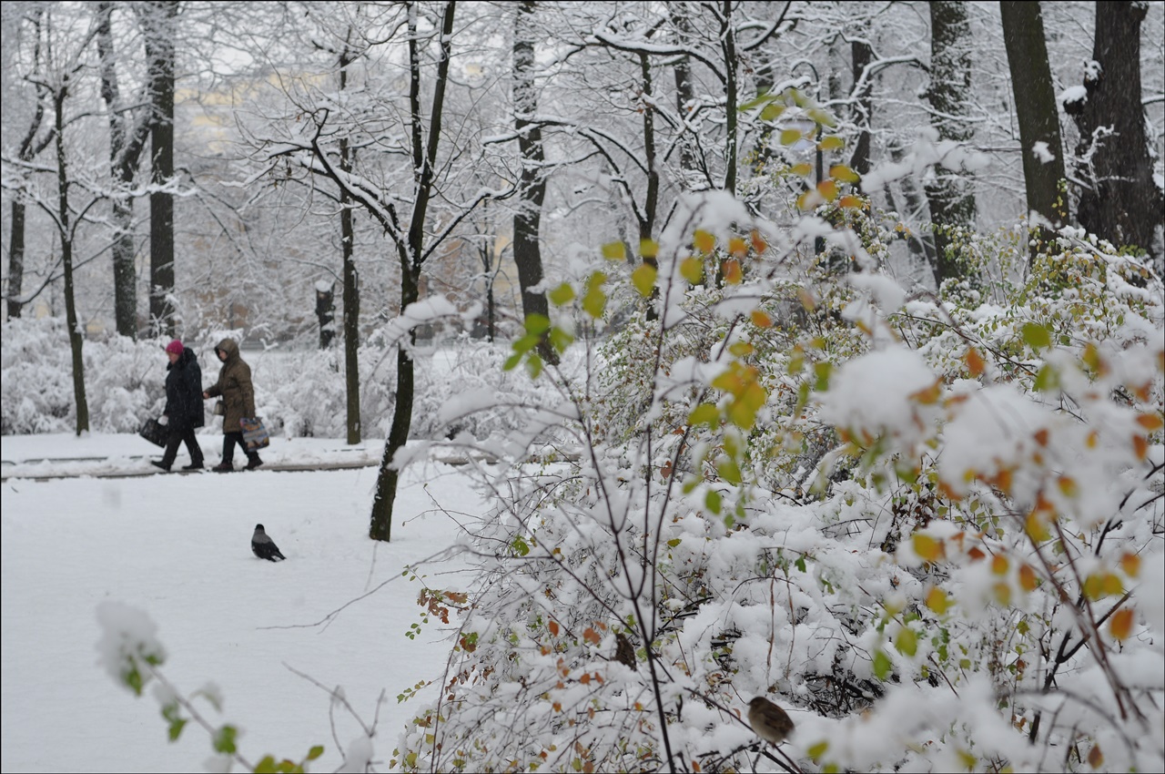 в Михайловском саду_