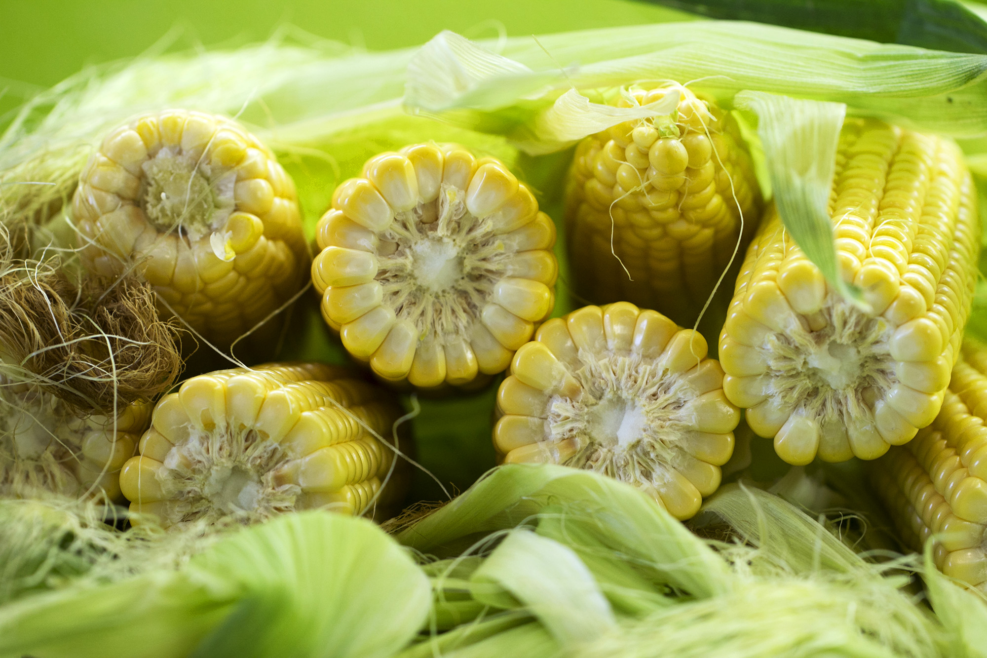 Бондюэльки