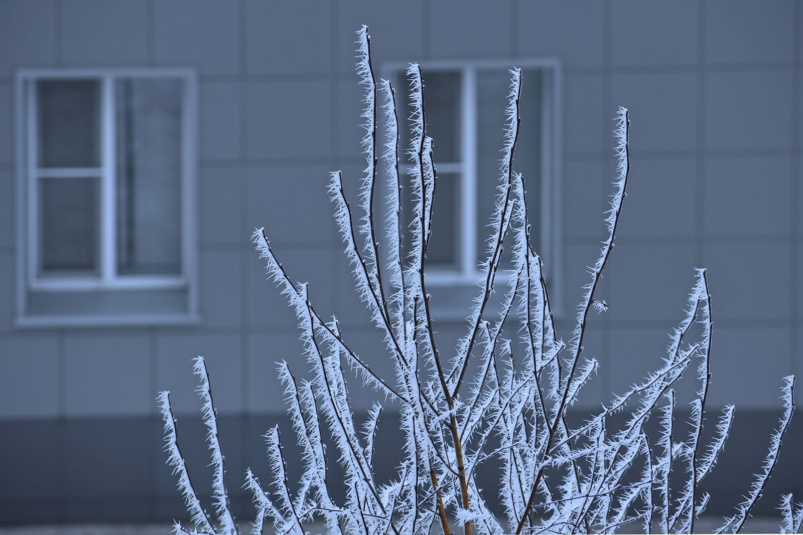 Автограф ночного морозца.