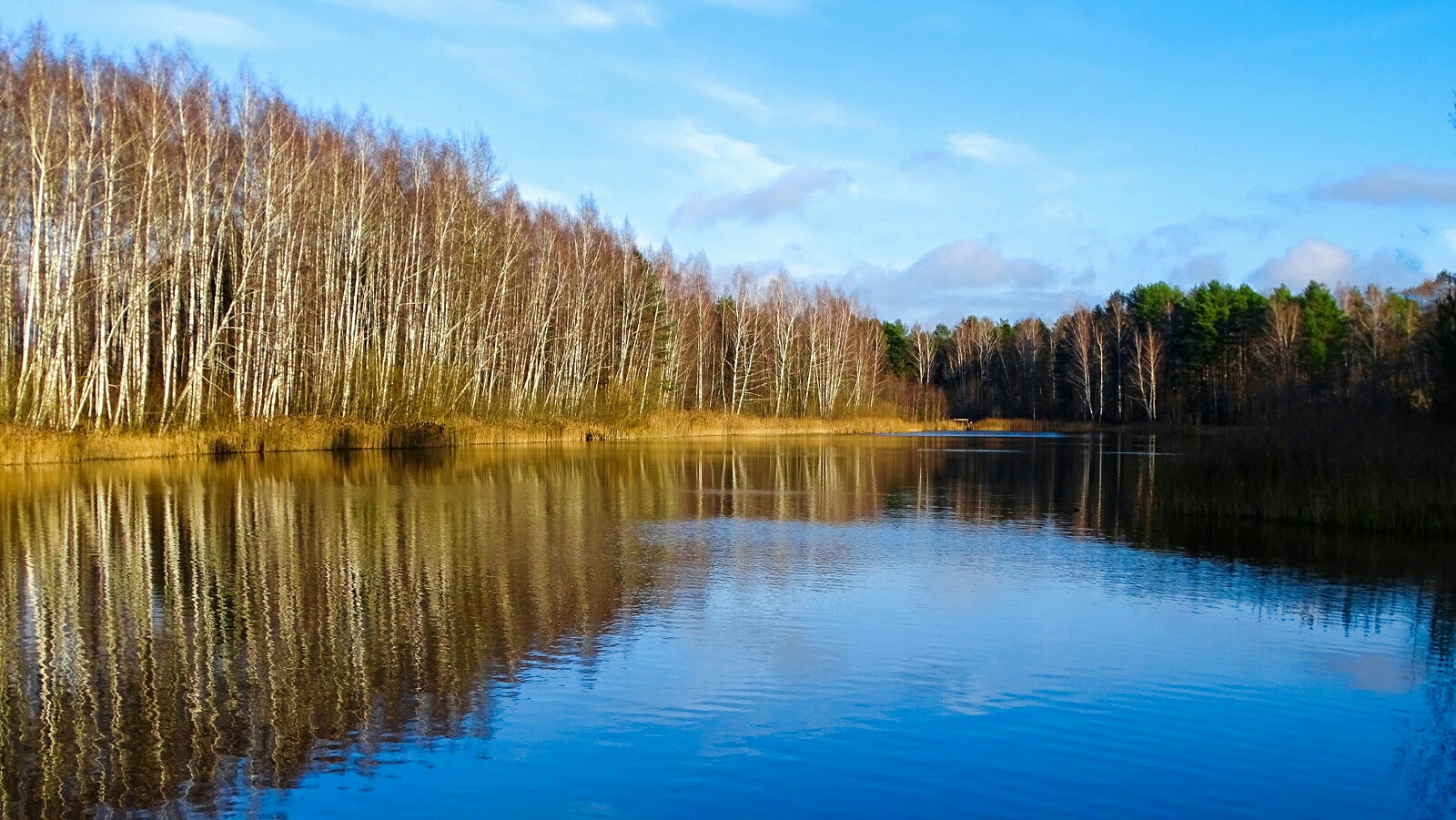 Природа Смоленщины 