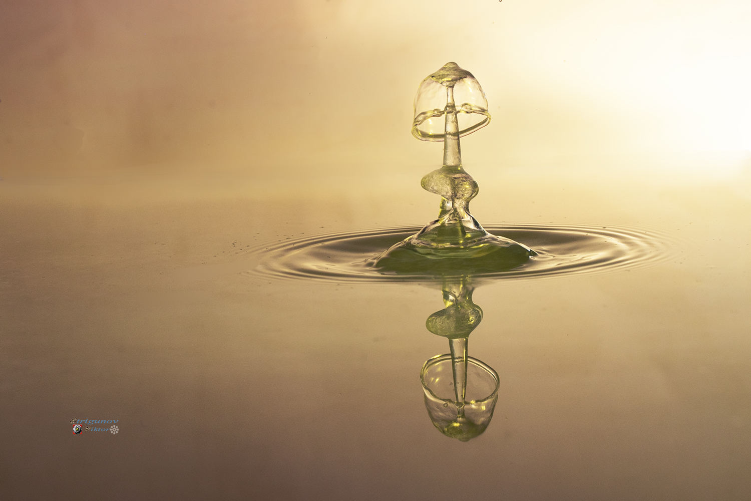 В мире жидкостных фигур.