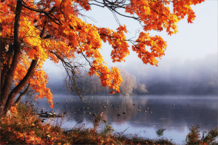 Осень в Гатчине