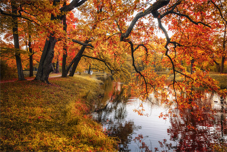 Осень в Царском селе
