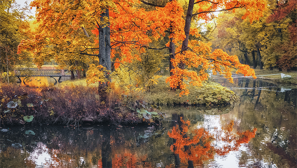 Осень в Царском селе