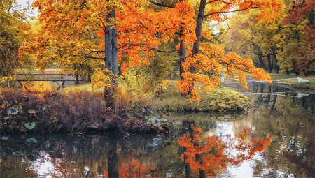 Осень в Царском селе