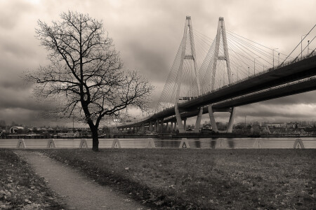 дерево у моста