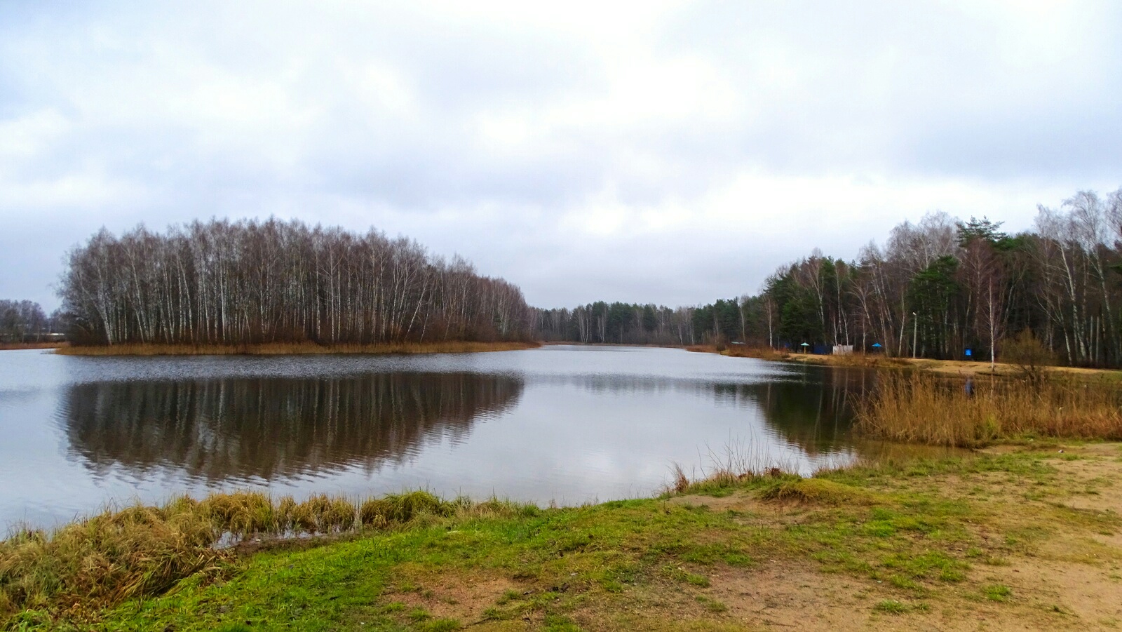 Природа Смоленщины 