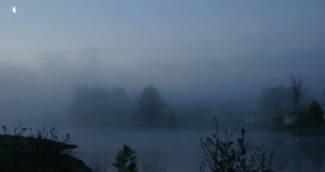 Утро. Туман.