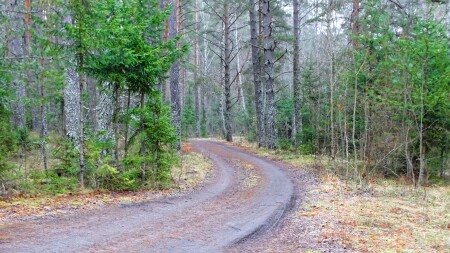 Природа Смоленщины 