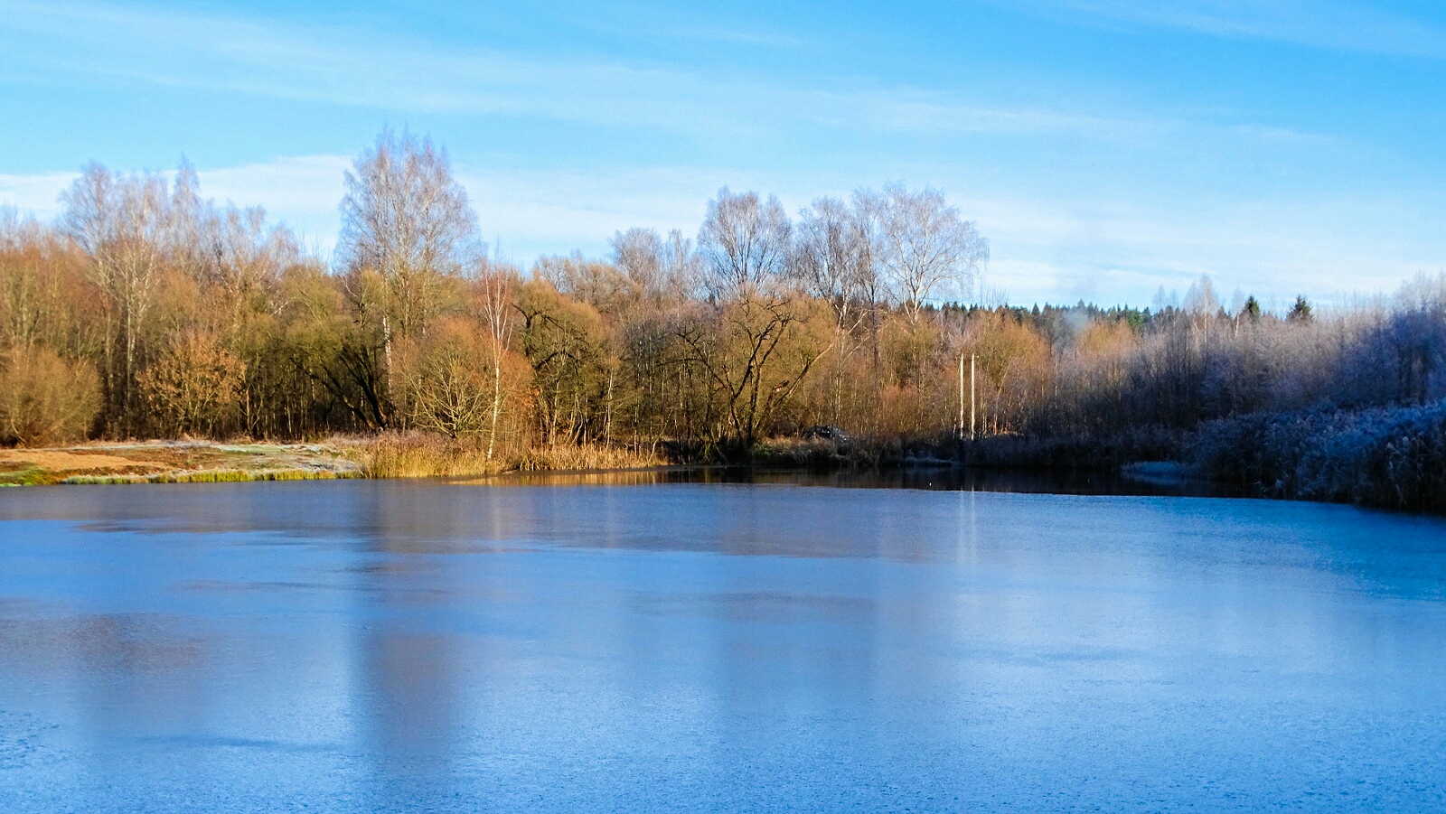 Природа Смоленщины 